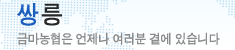 ָ - ݸ   翡 ֽϴ