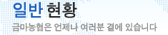 ݸ  - ݸ   翡 ֽϴ